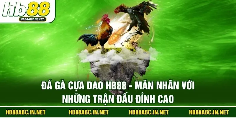 Đá Gà Cựa Dao HB88