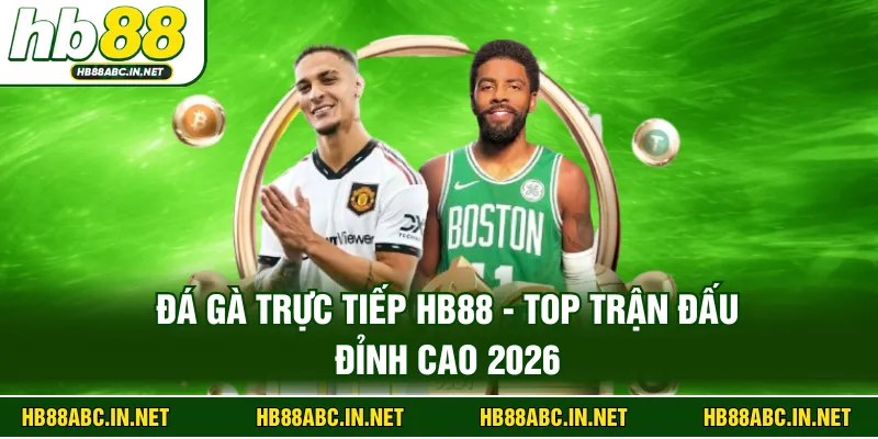Đá Gà Trực Tiếp HB88