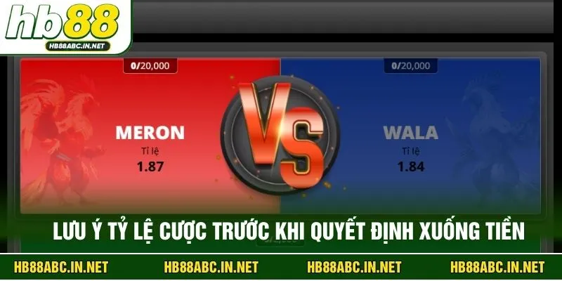 Lưu ý tỷ lệ cược trước khi quyết định xuống tiền