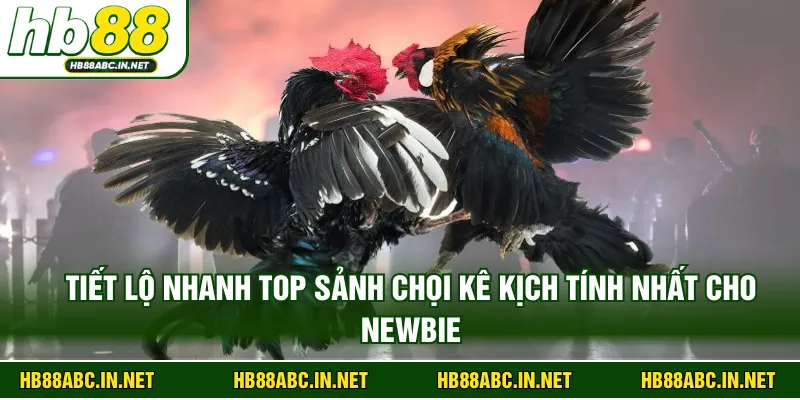 Tiết lộ nhanh top sảnh chọi kê kịch tính nhất cho newbie