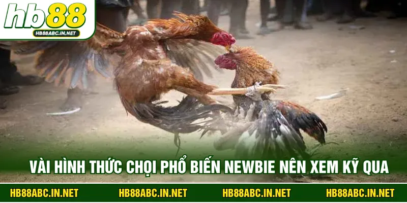 Vài hình thức chọi phổ biến newbie nên xem kỹ qua